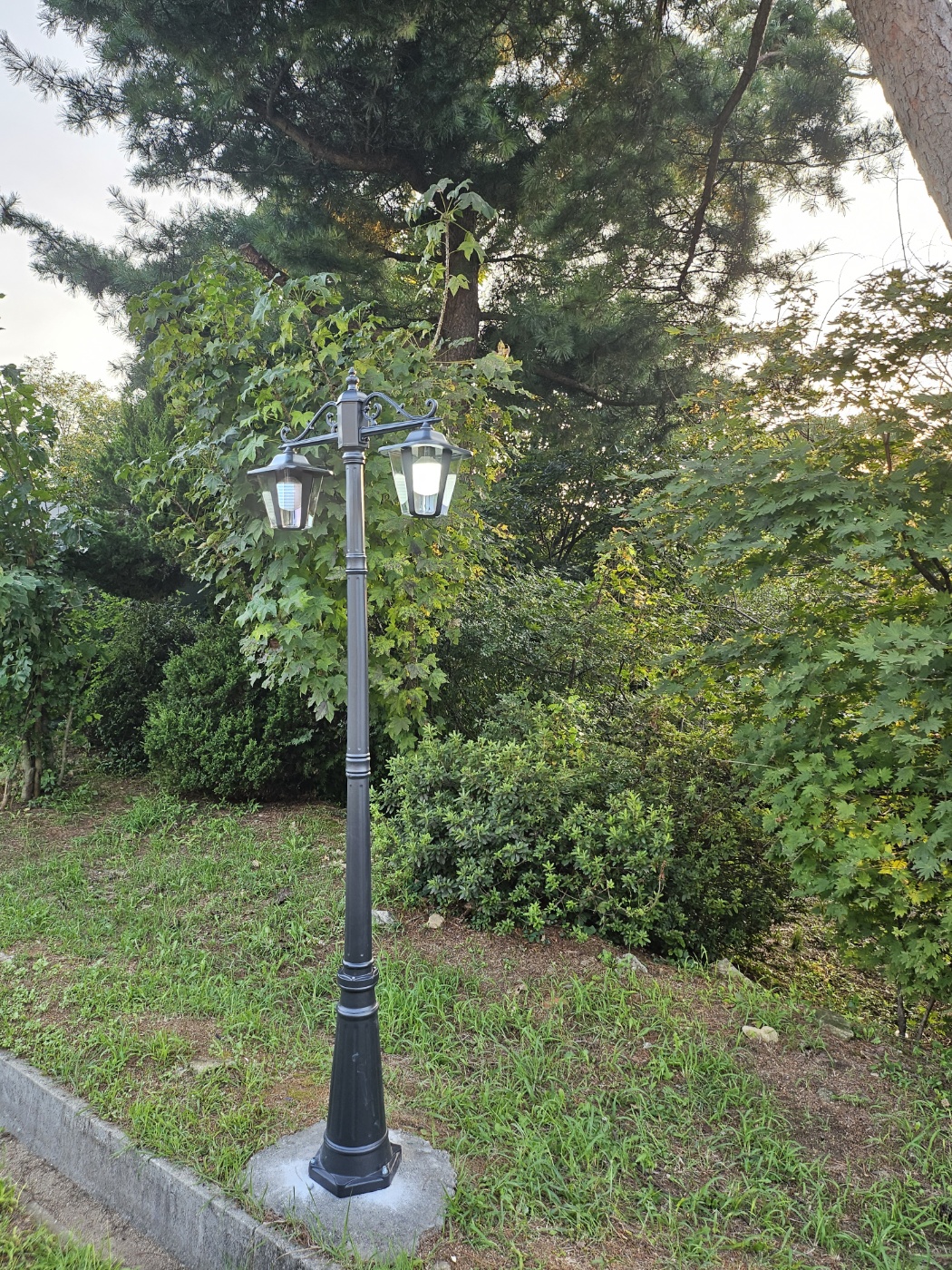 39aa197643770a4d56f57b6417b8f212_1756347611_0945.jpg