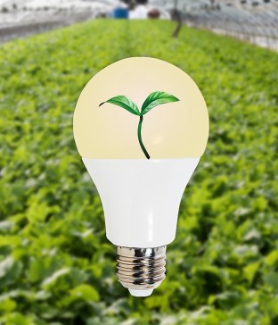 식물 전구, 식물 성장 램프(LED 12W)