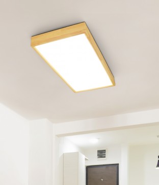 디오 2등 50W 국산LED거실등 아파트거실등